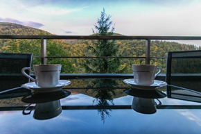 Apartament Rodia, Sinaia